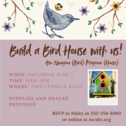 Hero -Build A Bird House